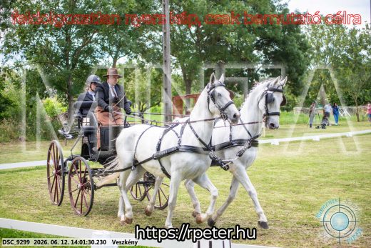 Mintakép 20260612-578