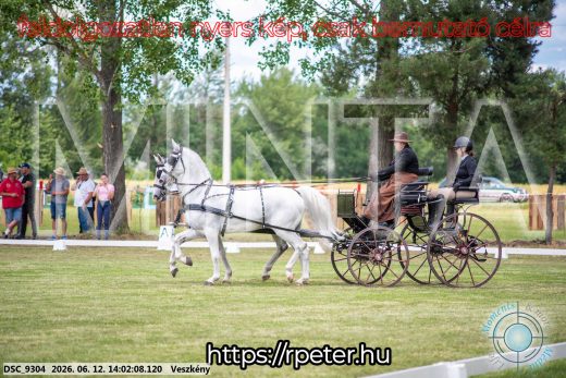 Mintakép 20260612-581