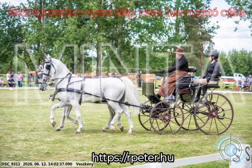 Mintakép 20260612-582