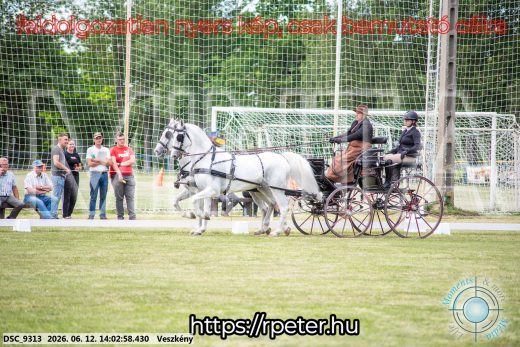 Mintakép 20260612-583