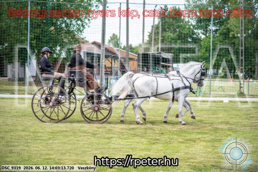 Mintakép 20260612-584