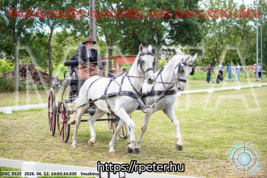 Mintakép 20260612-586