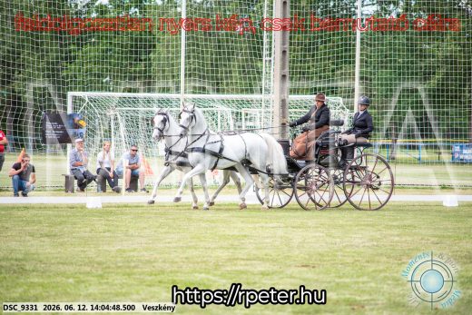 Mintakép 20260612-587