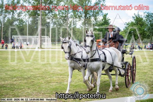 Mintakép 20260612-588