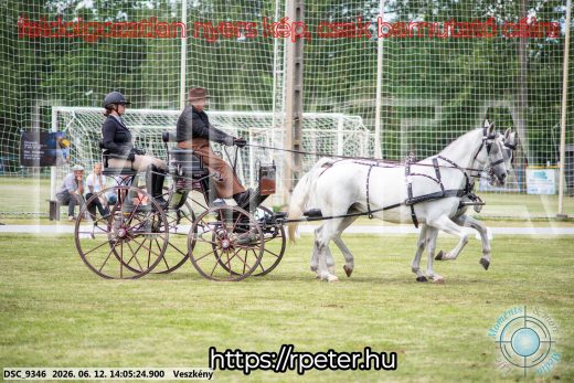 Mintakép 20260612-590