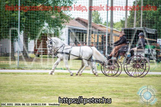 Mintakép 20260612-591