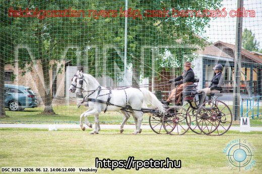 Mintakép 20260612-592