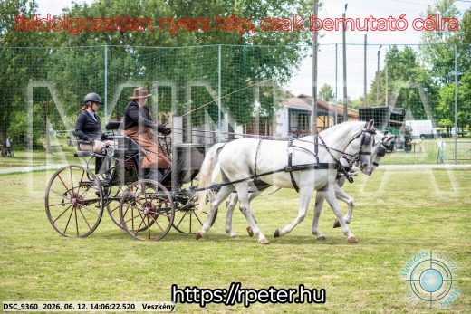 Mintakép 20260612-593