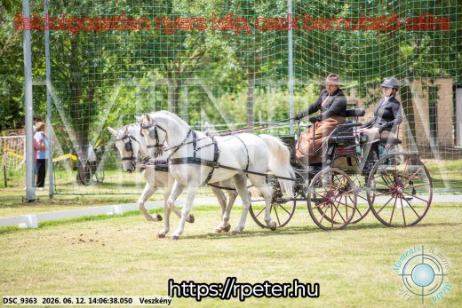Mintakép 20260612-594