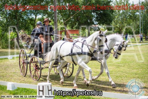 Mintakép 20260612-595