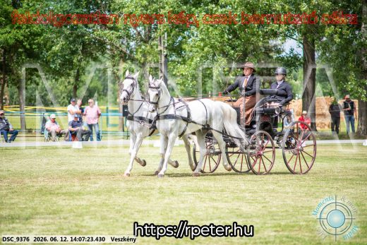 Mintakép 20260612-596