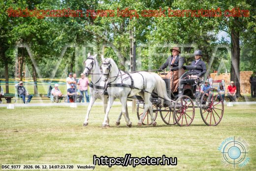 Mintakép 20260612-597