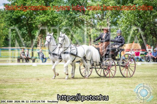 Mintakép 20260612-598