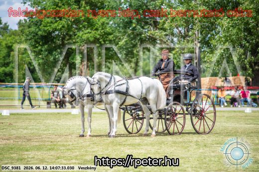 Mintakép 20260612-599