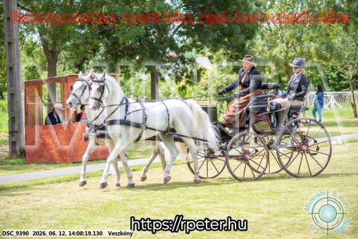 Mintakép 20260612-601