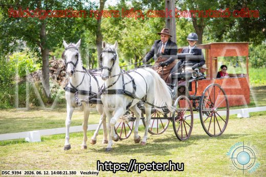 Mintakép 20260612-602