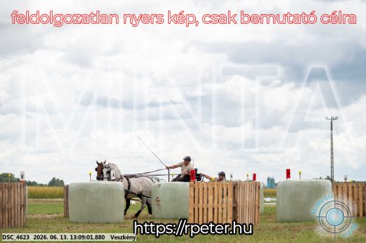 Mintakép 20260613-25
