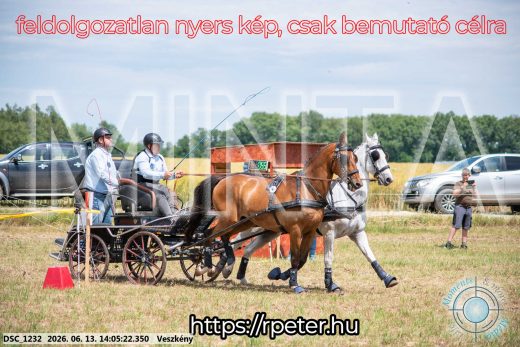 Mintakép 20260613-1111