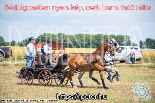 Mintakép 20260613-1112