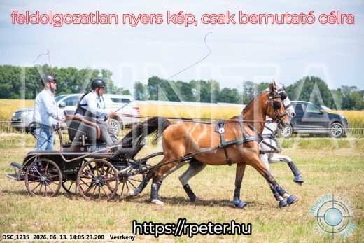 Mintakép 20260613-1113