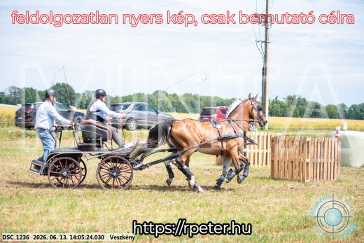 Mintakép 20260613-1114