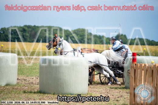 Mintakép 20260613-1115