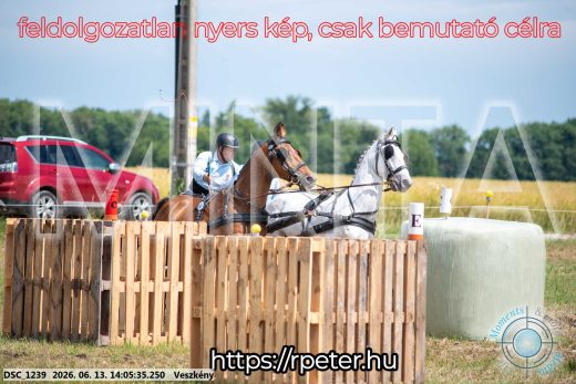 Mintakép 20260613-1116