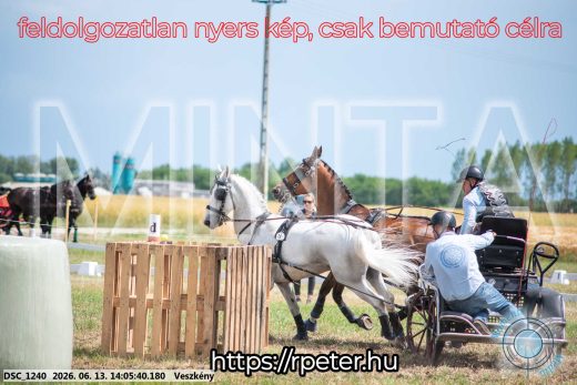 Mintakép 20260613-1117