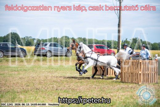 Mintakép 20260613-1118