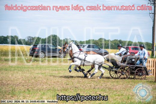 Mintakép 20260613-1119