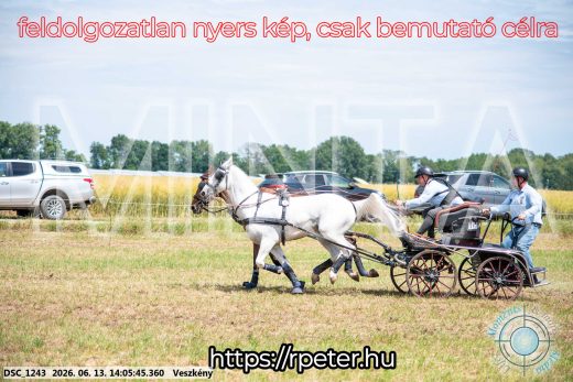 Mintakép 20260613-1120