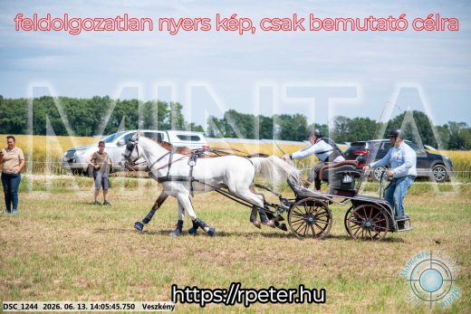Mintakép 20260613-1121