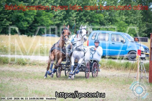 Mintakép 20260613-1122