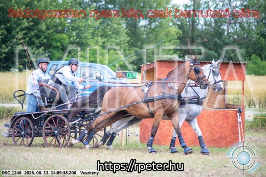 Mintakép 20260613-1123
