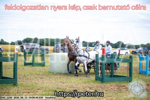 Mintakép 20260613-1125