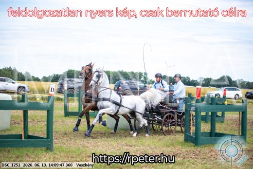 Mintakép 20260613-1127