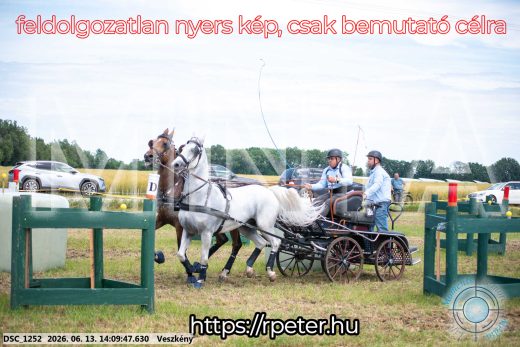 Mintakép 20260613-1128