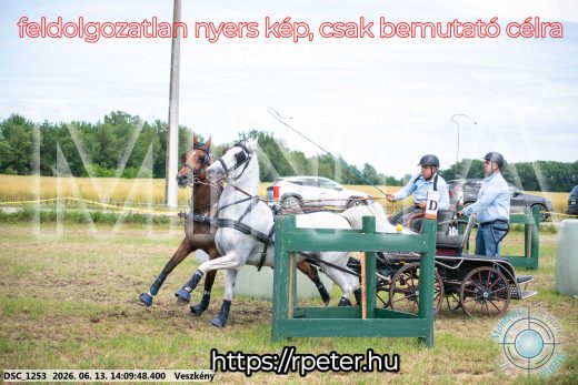 Mintakép 20260613-1129