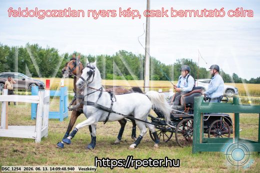 Mintakép 20260613-1130