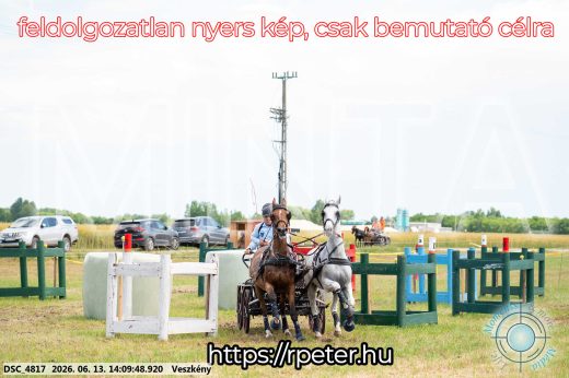 Mintakép 20260613-1131