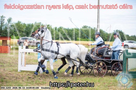Mintakép 20260613-1132