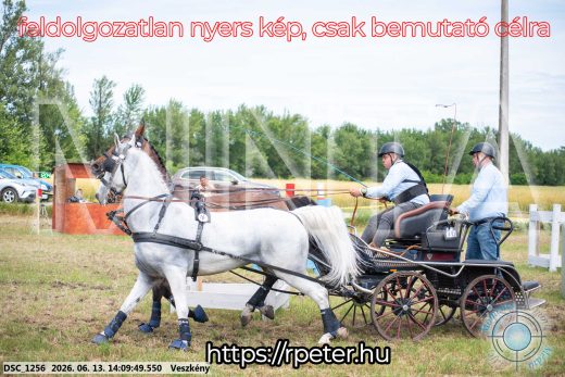 Mintakép 20260613-1133