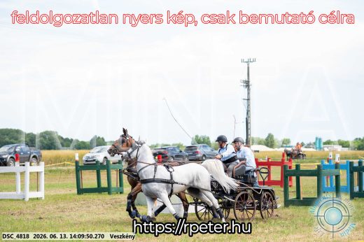 Mintakép 20260613-1134