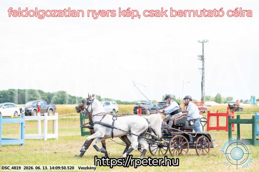 Mintakép 20260613-1135