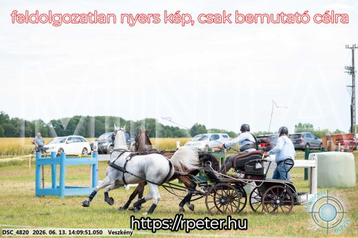 Mintakép 20260613-1136