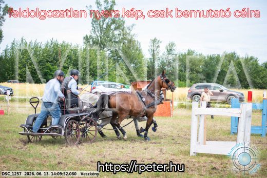 Mintakép 20260613-1137