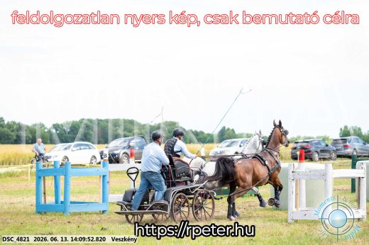 Mintakép 20260613-1138