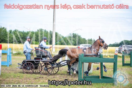 Mintakép 20260613-1139