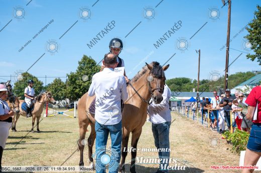 Mintakép 20260726-1674