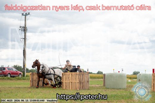 Mintakép 20260613-28